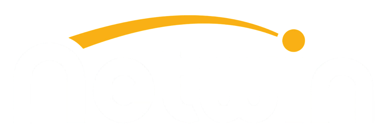 Logo Netwin official